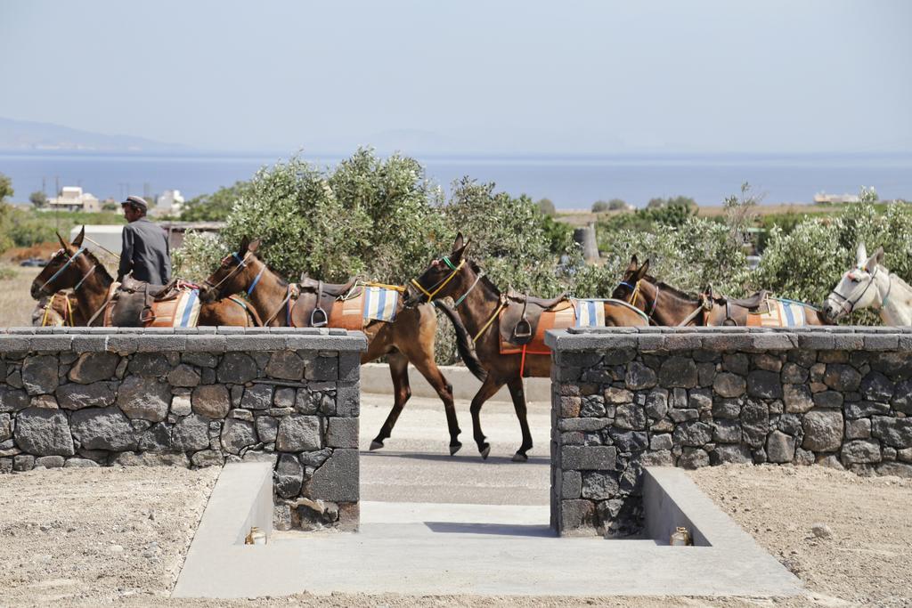 Vino Houses Santorini Finikiá Kültér fotó